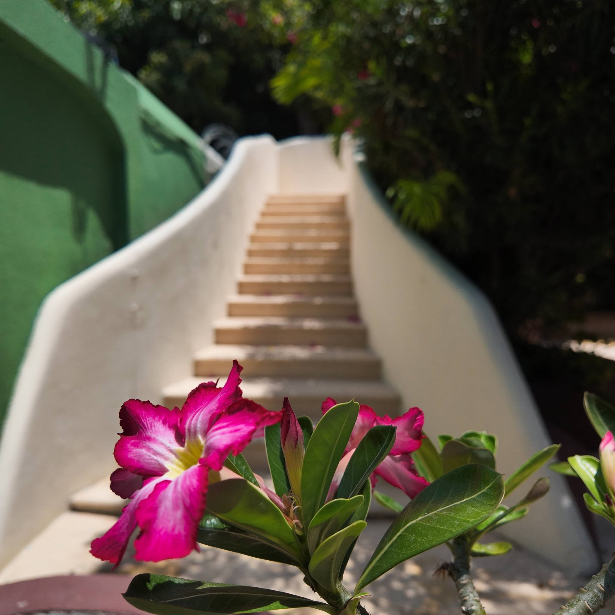 Instalaciones del Hotel Costa Linda
